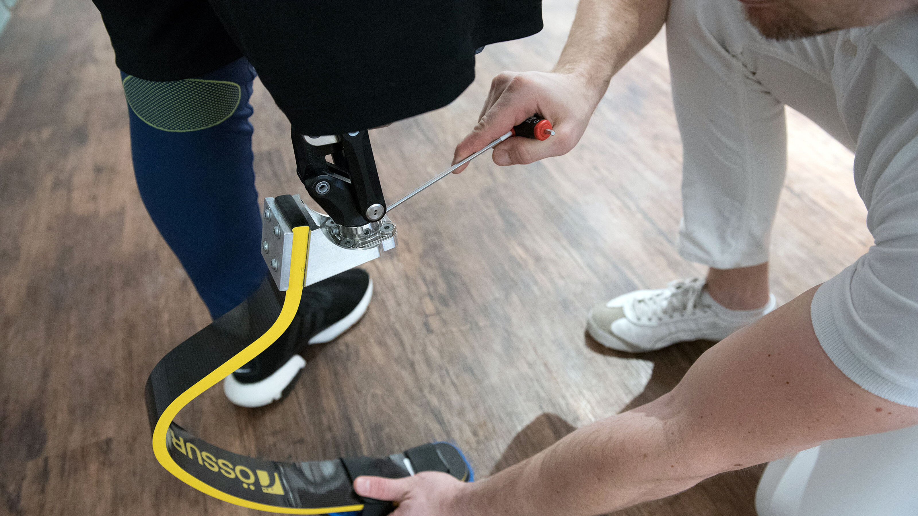 Amputation Ursachen, Ablauf & Seeger